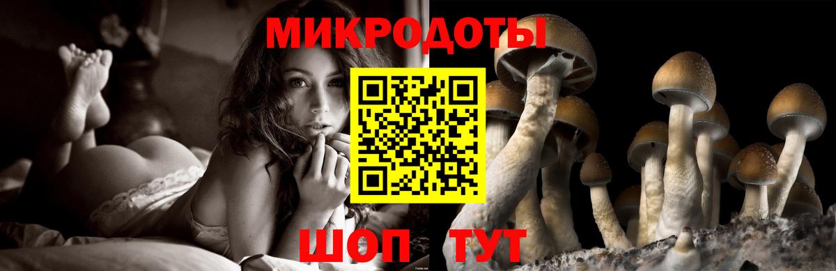 Псилоцибиновые грибы ЛСД Новодвинск