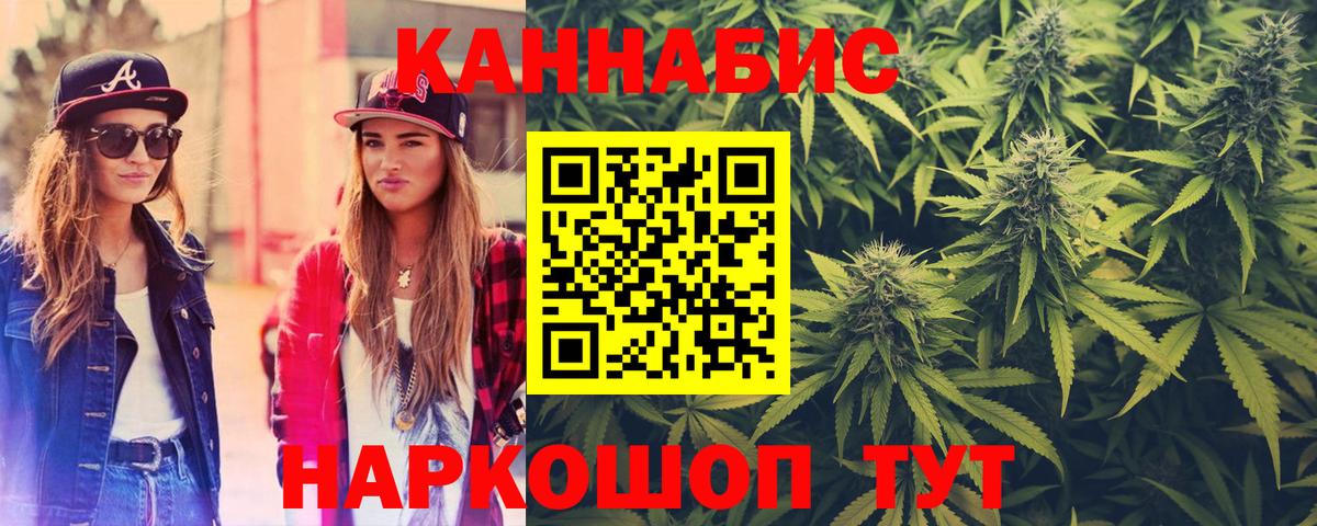 Конопля план  Вход с VPN  Конопля White Widow  Бошки Шишки VHQ  Новодвинск 